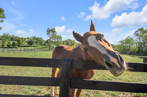 Other - 2788 Frankfort Rd, Georgetown, KY 40324 photo 23 of 24