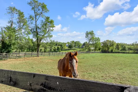 Other - 2788 Frankfort Rd, Georgetown, KY 40324 photo 21 of 24