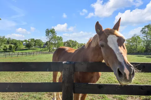 Other - 2788 Frankfort Rd, Georgetown, KY 40324 photo 22 of 24