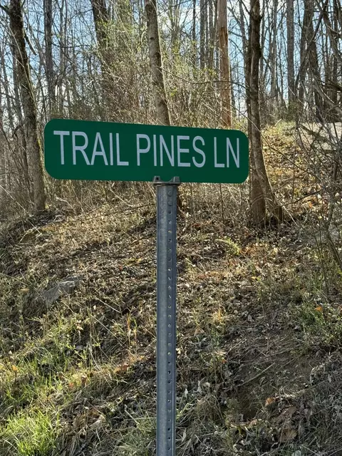 0 Tbd Trail Pinesedge Ln, Frenchburg, KY 40322