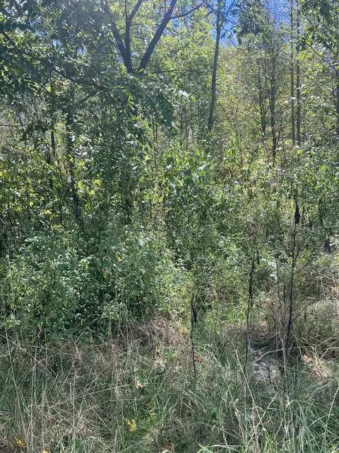 075-00 00-01700 Hwy, Smith, KY 40831 photo 7