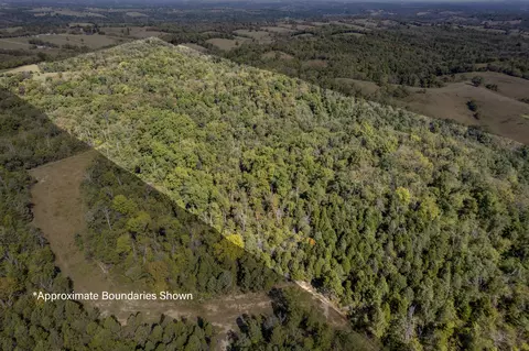0 Magnolia Rd, Owingsville, KY 40360