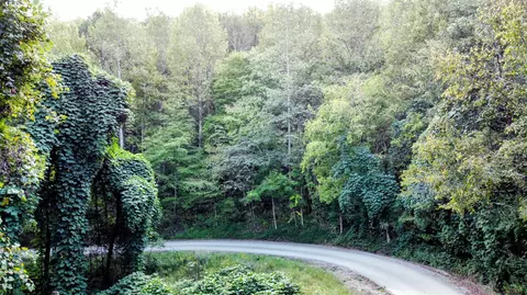 309 Smokey Joe Dr, Barbourville, KY 40906