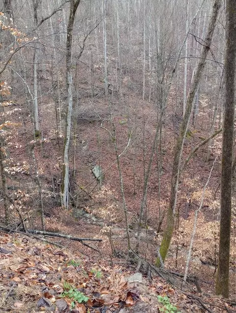 0 S Fork Rd, Stanton, KY 40380 photo 6