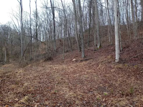 0 S Fork Rd, Stanton, KY 40380 photo 9