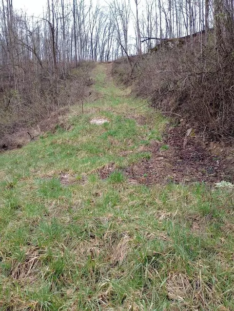 0 S Fork Rd, Stanton, KY 40380 photo 14