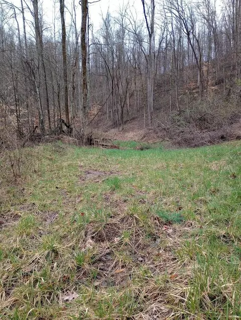 0 S Fork Rd, Stanton, KY 40380 photo 13