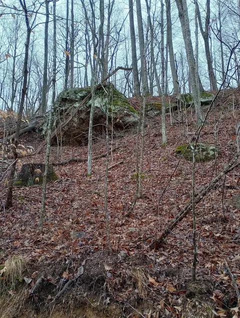 0 S Fork Rd, Stanton, KY 40380 photo 12