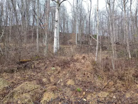 0 S Fork Rd, Stanton, KY 40380 photo 8