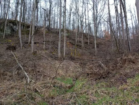0 S Fork Rd, Stanton, KY 40380 photo 16