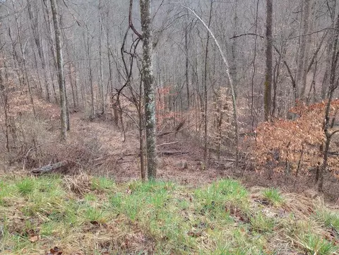 0 S Fork Rd, Stanton, KY 40380 photo 7