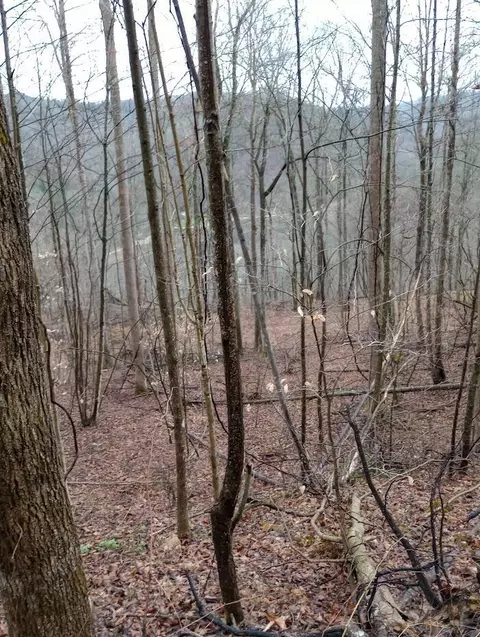 0 S Fork Rd, Stanton, KY 40380 photo 11