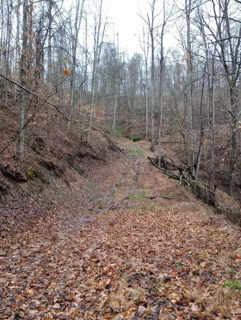 0 S Fork Rd, Stanton, KY 40380 photo 5