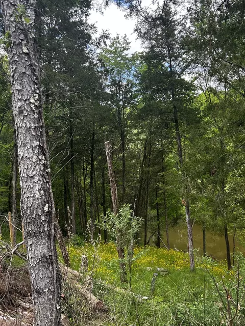 lot Trailwood Lake Rd, Bagdad, KY 40003