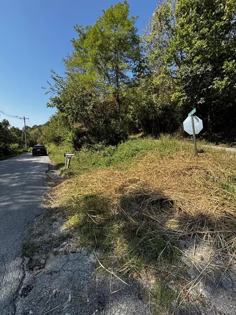 175 Ed Monroe Rd, Falmouth, KY 41040