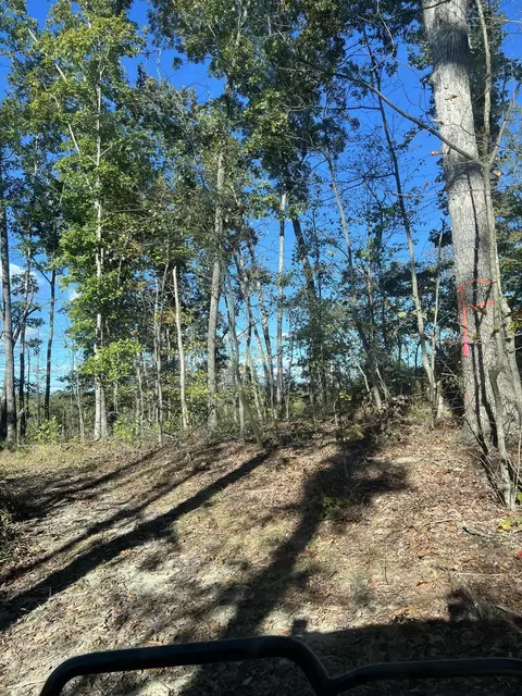 2 Just-a-mere Ln, Morehead, KY 40351 photo 3