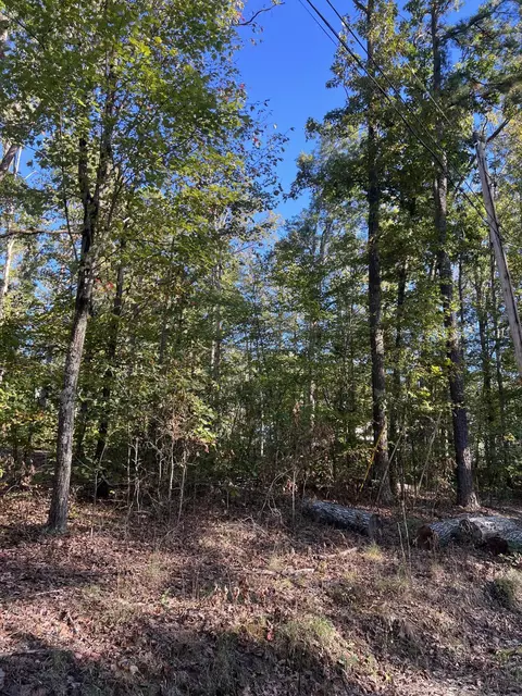 2 Just-a-mere Ln, Morehead, KY 40351 photo 8