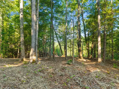 230 Eureka Rd, Zoe, KY 41397 photo 6