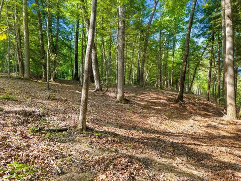 230 Eureka Rd, Zoe, KY 41397 photo 24