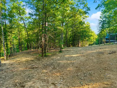 230 Eureka Rd, Zoe, KY 41397 photo 4
