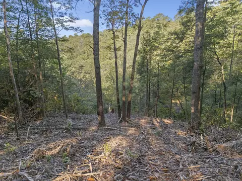 230 Eureka Rd, Zoe, KY 41397