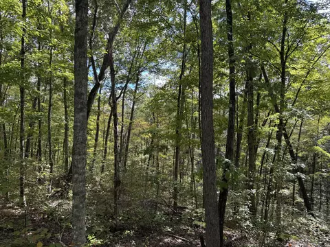 lot878889 Sandstone Point Trl, Monticello, KY 42633