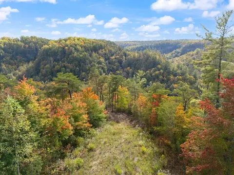 lot65 Shawnee Run, Rogers, KY 41365