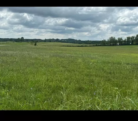 00000 Wyan Rd, London, KY 40744