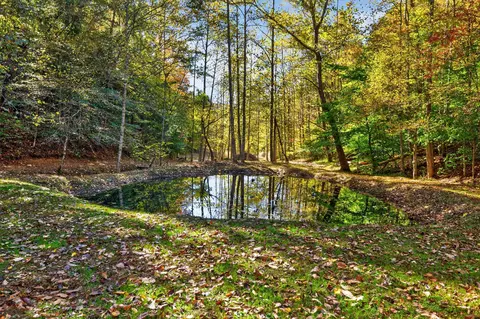 Other - 569 Bethany Rd, Campton, KY 41301 photo 7 of 8