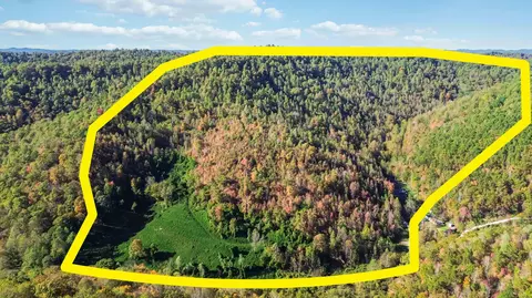 184 Ancient Springs Dr, Hinkle, KY 40953