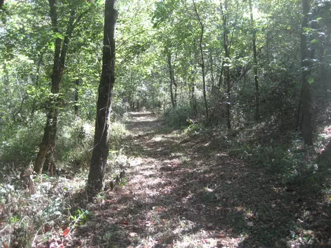 Other - 901 Hayden Brothers Ln, Springfield, KY 40069 photo 12 of 25