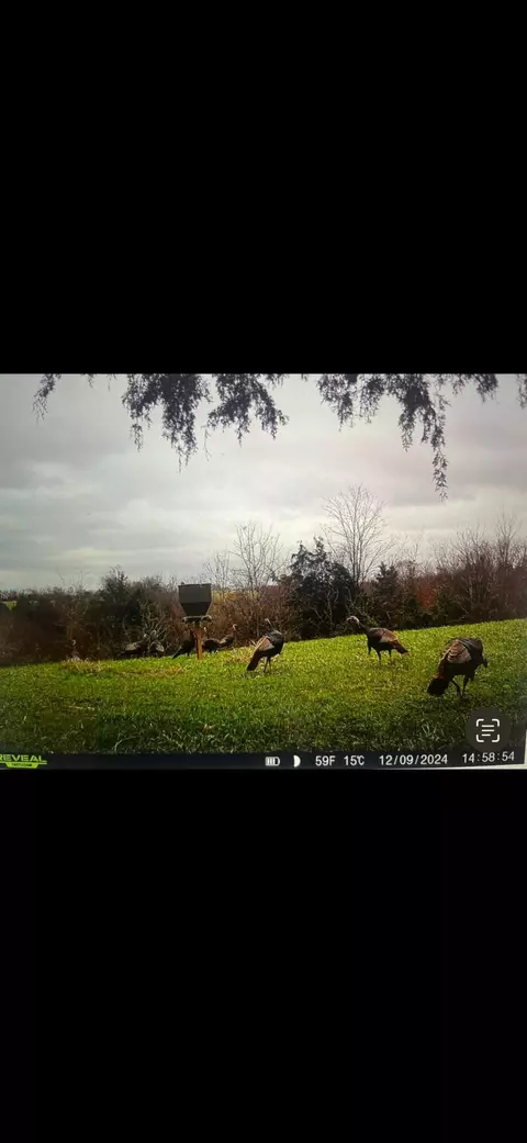 Other - 901 Hayden Brothers Ln, Springfield, KY 40069 photo 24 of 25