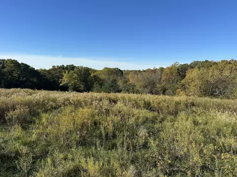 473 Kings Ln, Cynthiana, KY 41031
