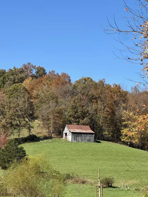 1052 Maulden Branch Rd, Tyner, KY 40486 photo 19