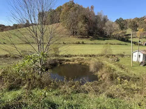 1052 Maulden Branch Rd, Tyner, KY 40486 photo 15