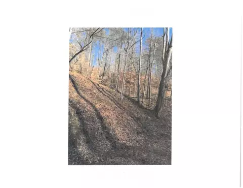9999 Cave Branch Rd, Manchester, KY 40962
