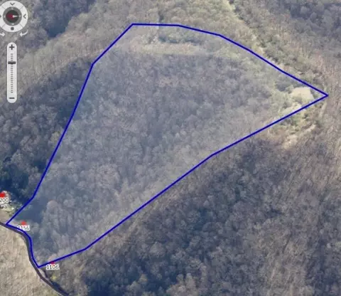 1156 Abner Fork Rd, Belcher, KY 41513