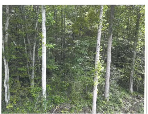 736 E Cave Branch Road Br, Manchester, KY 40962
