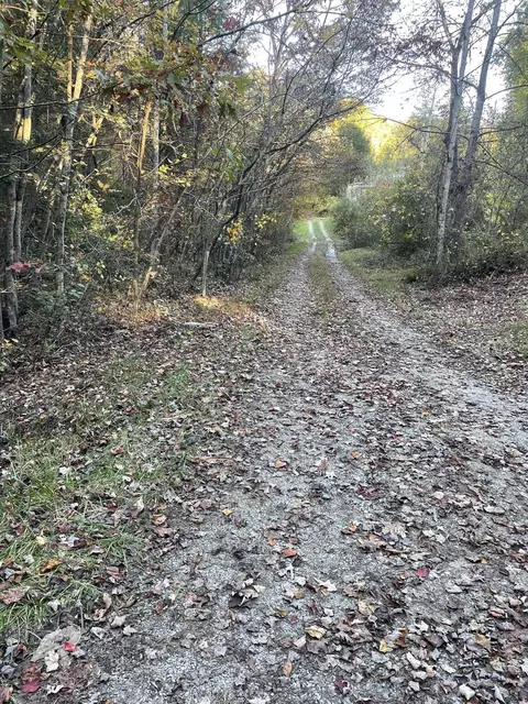 Other - 249 Garland Rd, Strunk, KY 42649 photo 10 of 10