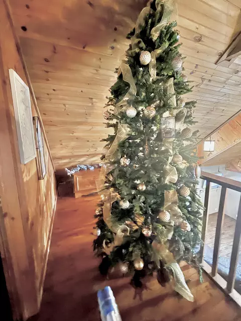 Entry Way - 87 Old Mill Rd, Pine Knot, KY 42635 photo 1 of 1
