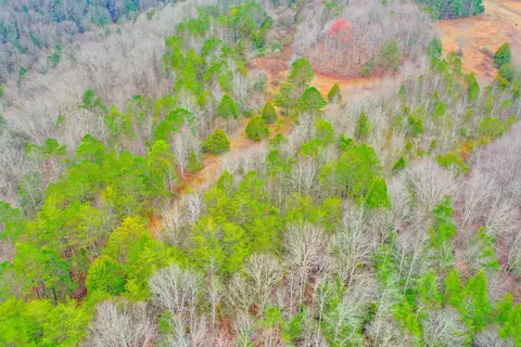 9999 War Fork Rd, Mckee, KY 40447 photo 2