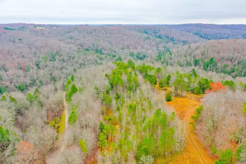 9999 War Fork Rd, Mckee, KY 40447 photo 5