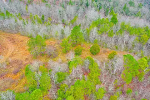 9999 War Fork Rd, Mckee, KY 40447 photo 3