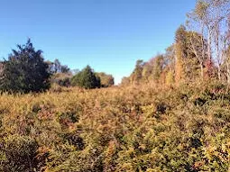 1394 Peeled Oak Rd, Owingsville, KY 40360