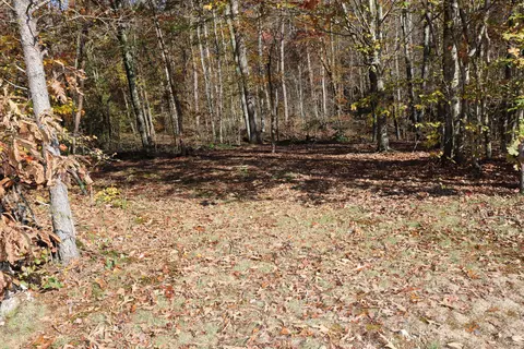 286 E Doe Creek Rd, Liberty, KY 42539 photo 52
