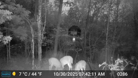 286 E Doe Creek Rd, Liberty, KY 42539 photo 56