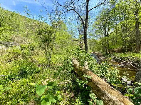 0 State Route 122, Mcdowell, KY 41647 photo 8