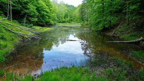 379 Highway 1690 # A, Louisa, KY 41230