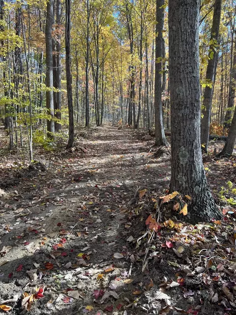 2222 Bridge Rock Rd, Mckee, KY 40447