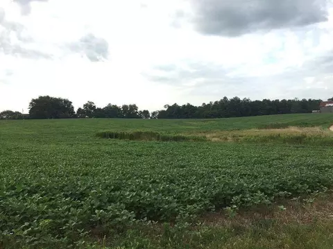 177 Hidden Crk Dr, Georgetown, KY 40324
